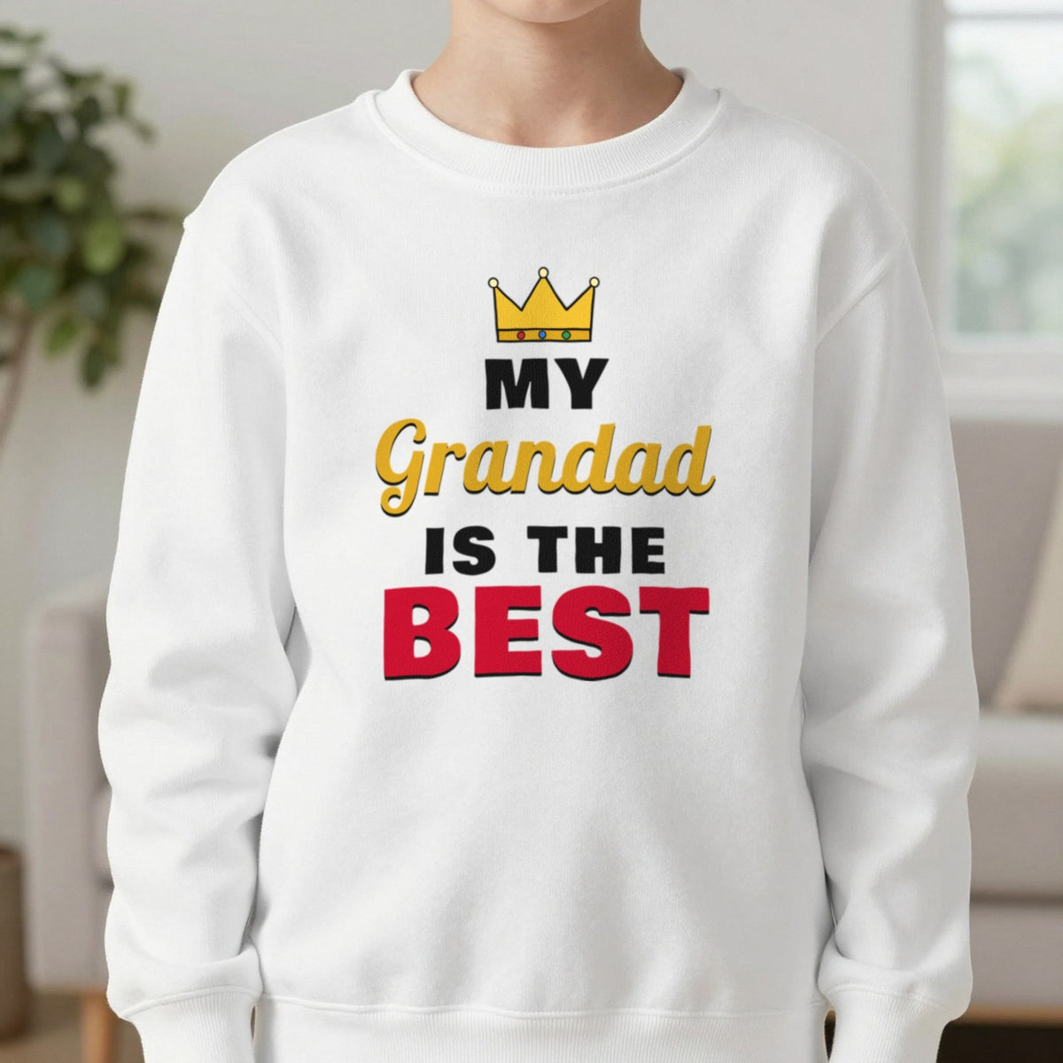 Kids Personalised My Grandad Is The Best T-Shirt & Sweatshirt Sweatshirt in White, worn, our photo