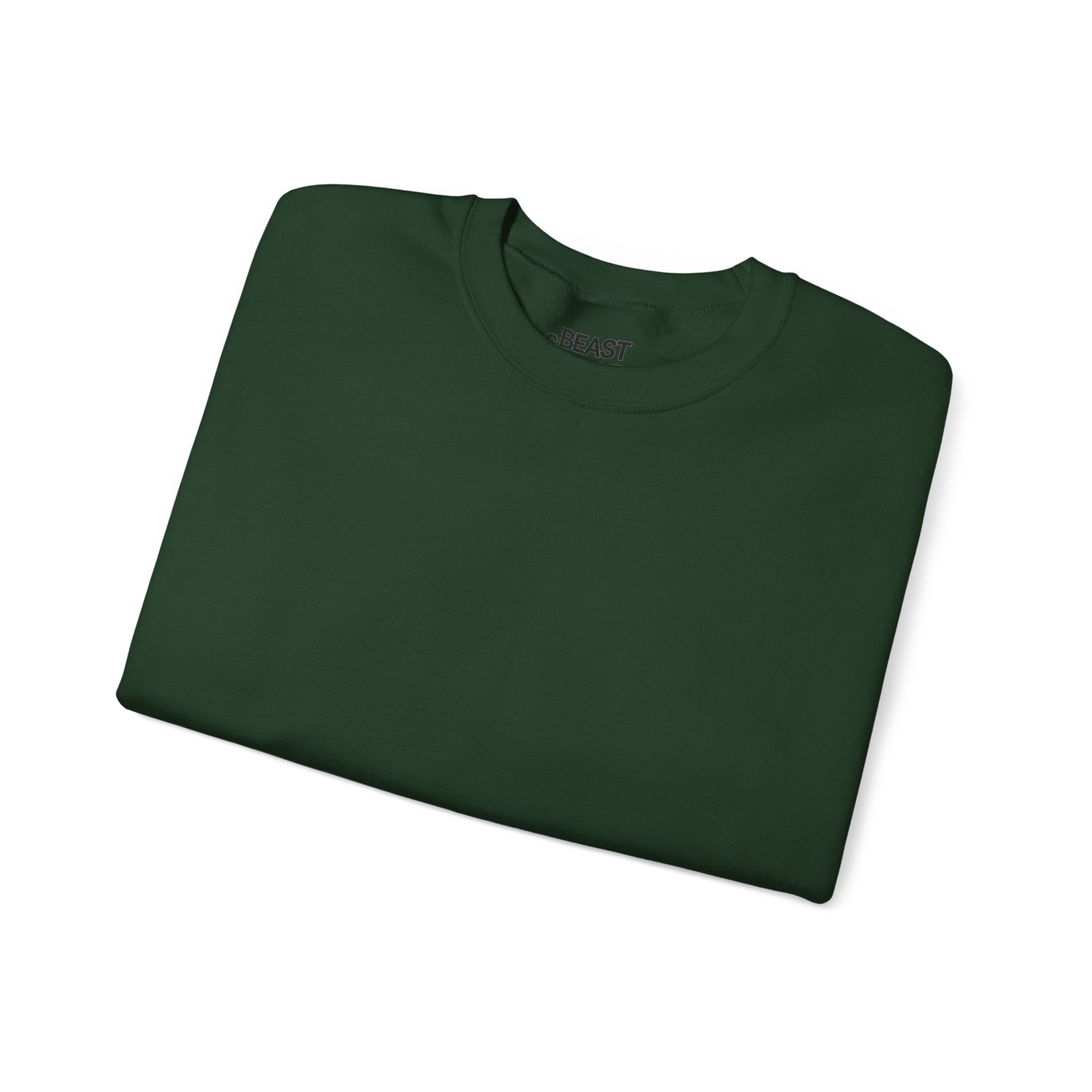 fishing evolution sweatshirt sweatshirt variant 17 product image