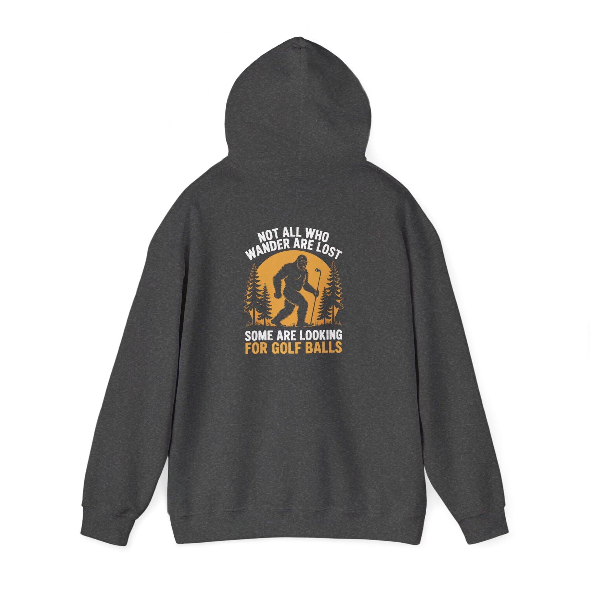not all who wander are lost looking for golf balls hoodie hoodie front product image