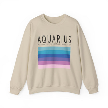 Aquarius Zodiac Sign Sweatshirt - funny sweatshirt by Cheeky Business