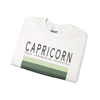 capricorn zodiac sign sweatshirt in multiple colourways minimalist retro astrology design
