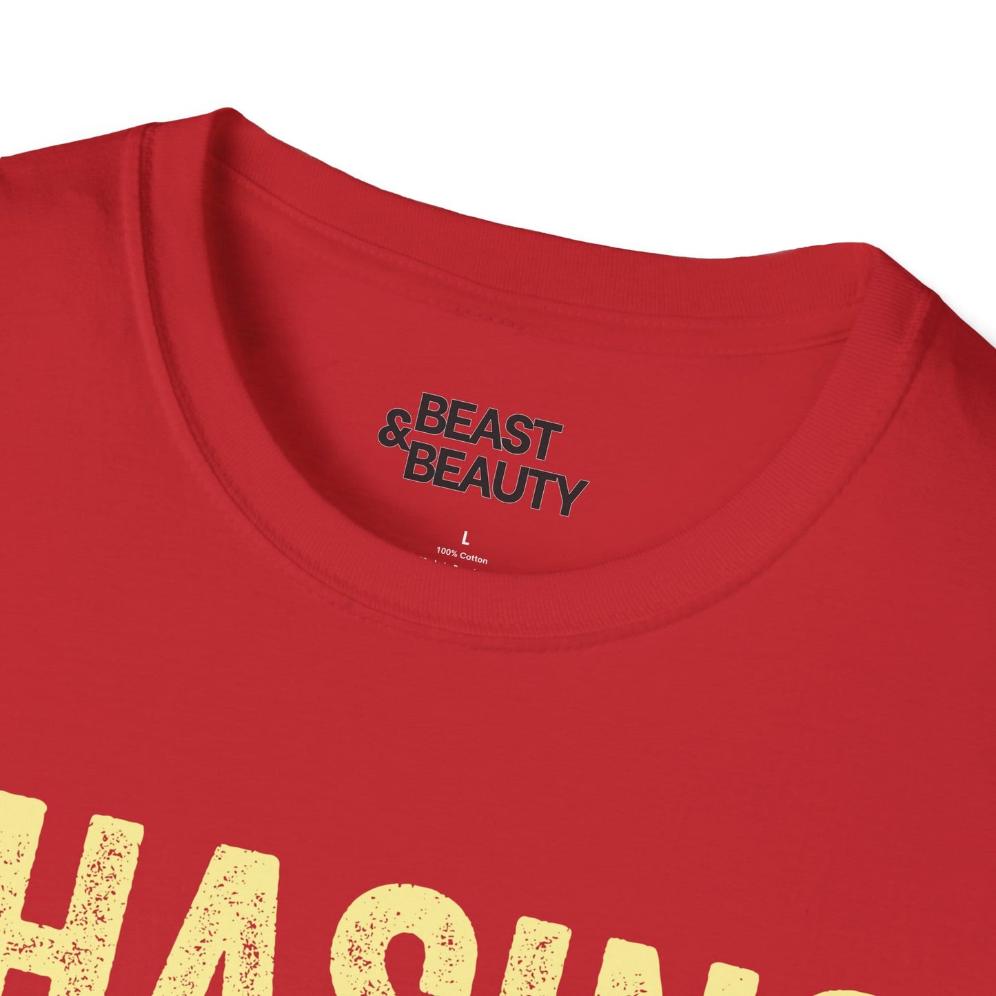 chasing sunshine womens graphic t-shirt lifestyle shot multiple colours