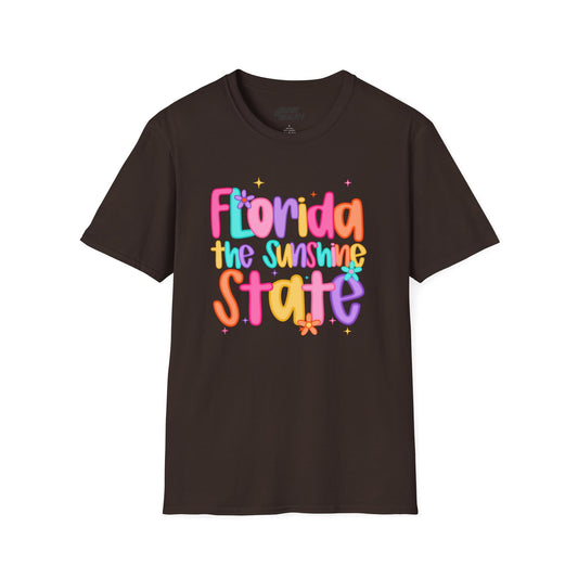 dark chocolate t-shirt with florida sunshine state travel design