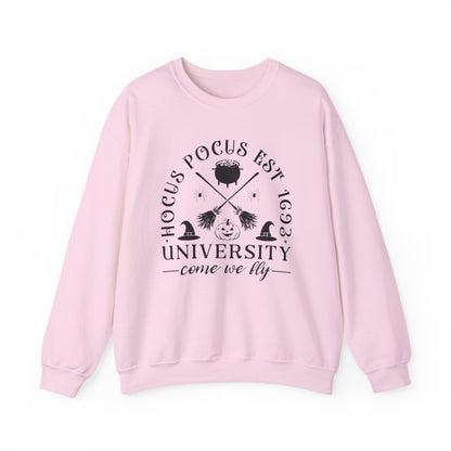 Witch University Halloween Sweatshirt - funny sweatshirt by Cheeky Business
