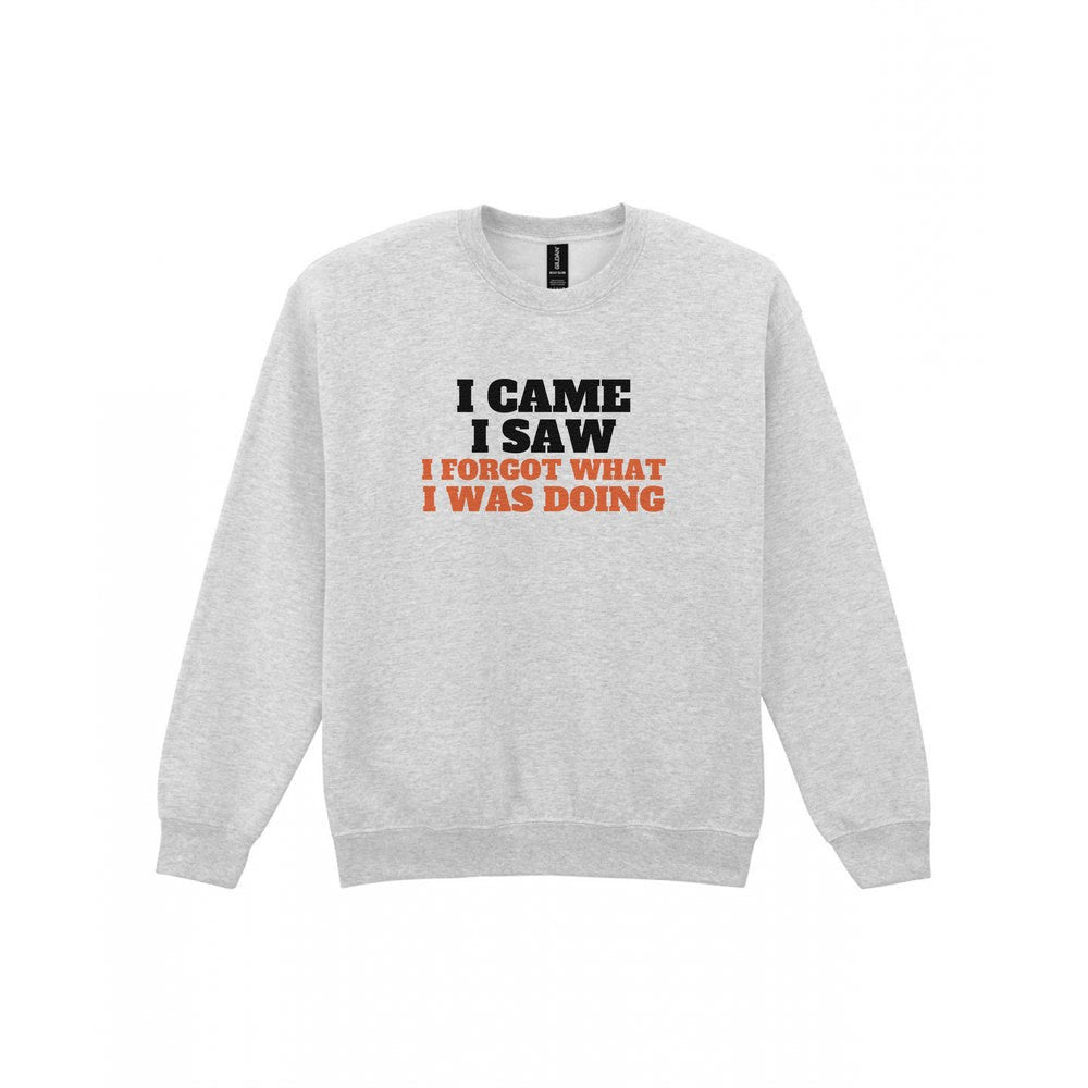 I Came I Saw I Forgot What I Was Doing Funny Quote T-Shirt & Sweatshirt Sweatshirt in Sport Grey