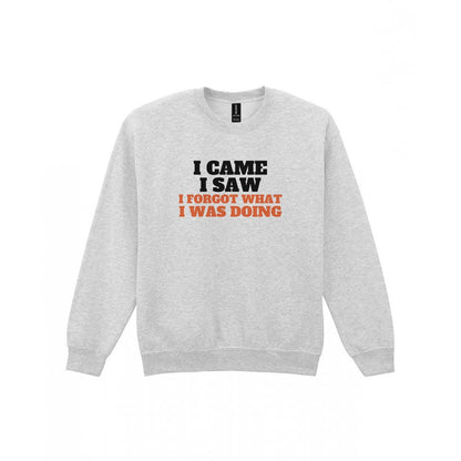 I Came I Saw I Forgot What I Was Doing Funny Quote T-Shirt & Sweatshirt Sweatshirt in Sport Grey