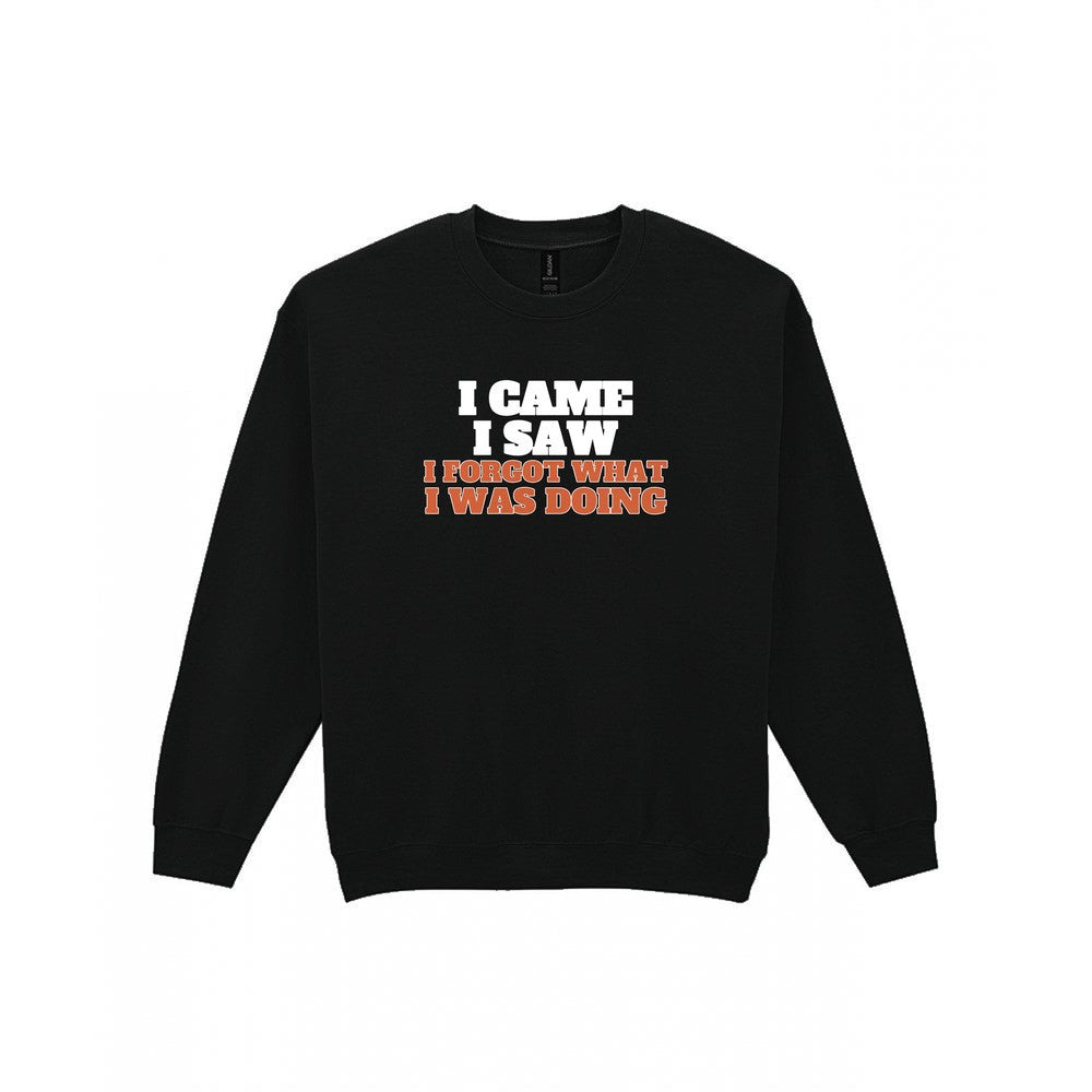 I Came I Saw I Forgot What I Was Doing Funny Quote T-Shirt & Sweatshirt Sweatshirt in Black