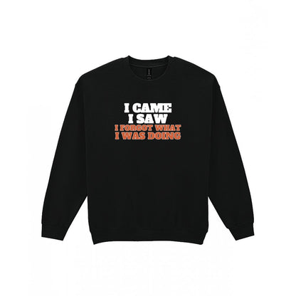 I Came I Saw I Forgot What I Was Doing Funny Quote T-Shirt & Sweatshirt Sweatshirt in Black