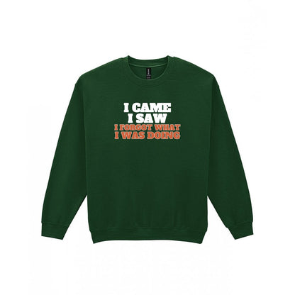 I Came I Saw I Forgot What I Was Doing Funny Quote T-Shirt & Sweatshirt Sweatshirt in Forest Green