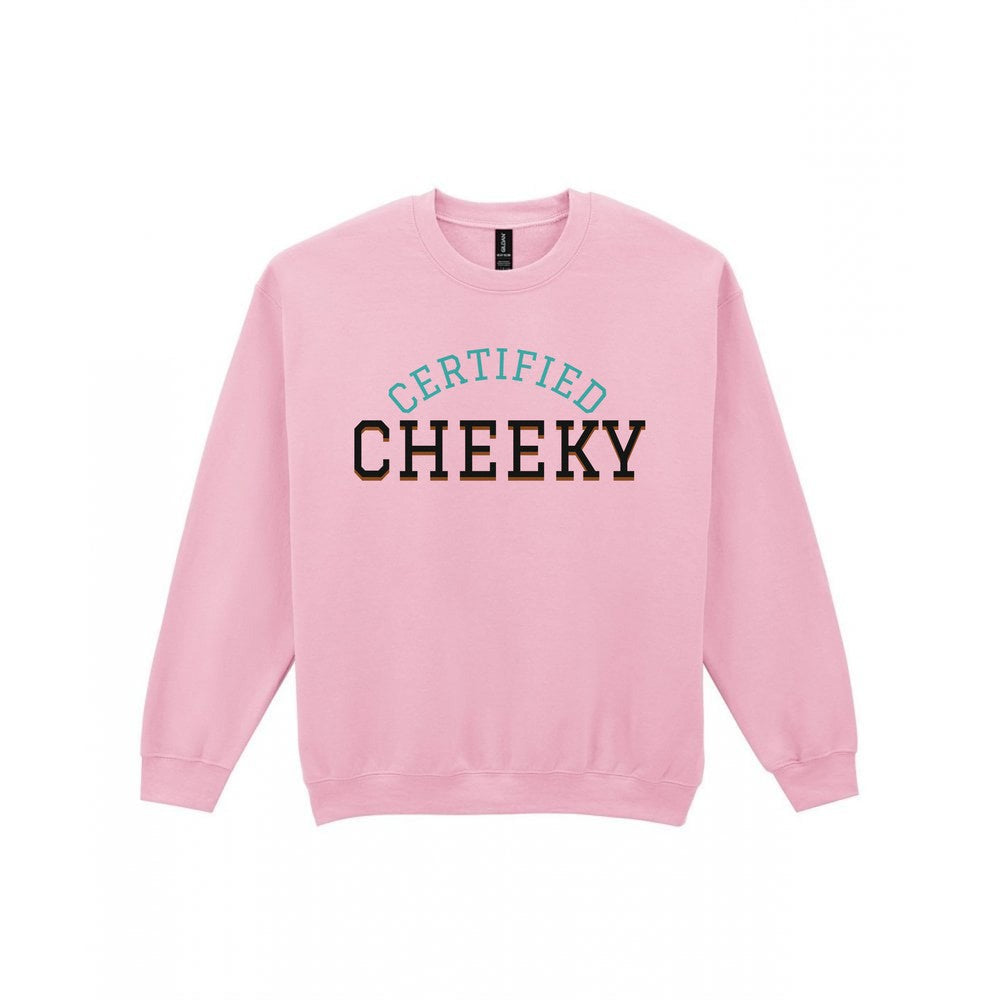 Kids Certified Cheeky T-Shirt, Sweatshirt & Hoodie Sweatshirt in Light Pink