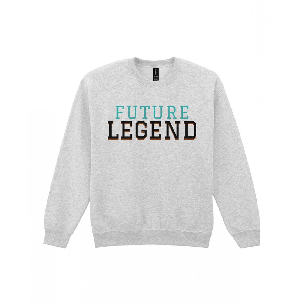 Kids Future Legend T-Shirt, Sweatshirt & Hoodie Sweatshirt in Sport Grey