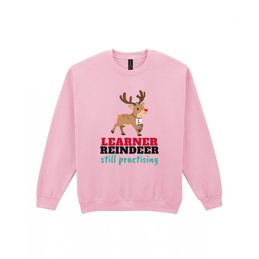 Kids Learner Reindeer Christmas T-Shirt & Jumper Sweatshirt in Light Pink