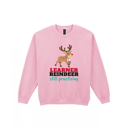 Kids Learner Reindeer Christmas T-Shirt & Jumper Sweatshirt in Light Pink