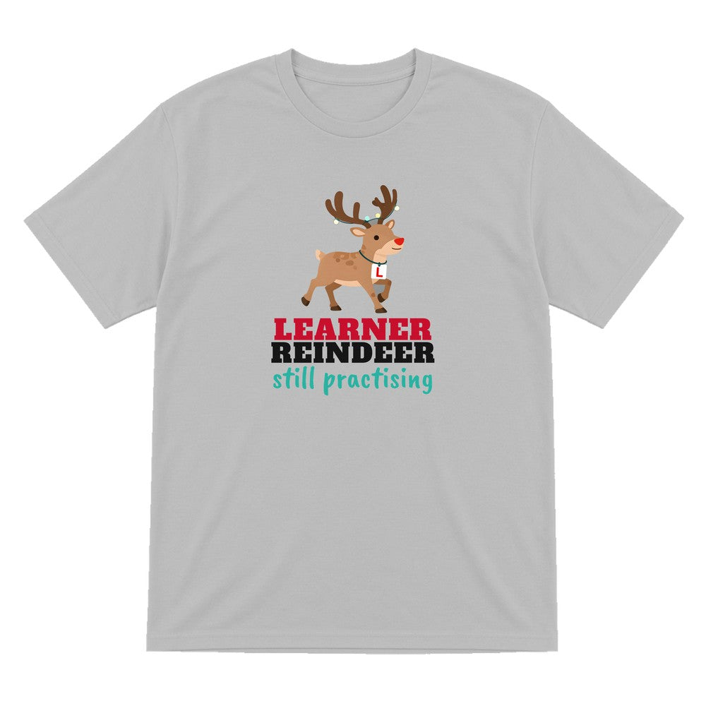 Kids Learner Reindeer Christmas T-Shirt & Jumper T-Shirt in Sport Grey