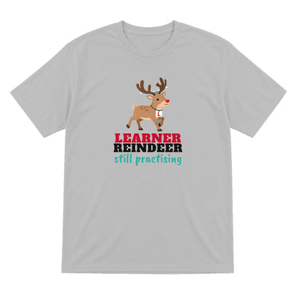 Kids Learner Reindeer Christmas T-Shirt & Jumper T-Shirt in Sport Grey