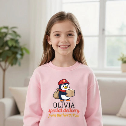 Kids Personalised North Pole Delivery Christmas T-Shirt & Sweatshirt Sweatshirt in Light Pink, worn, our photo
