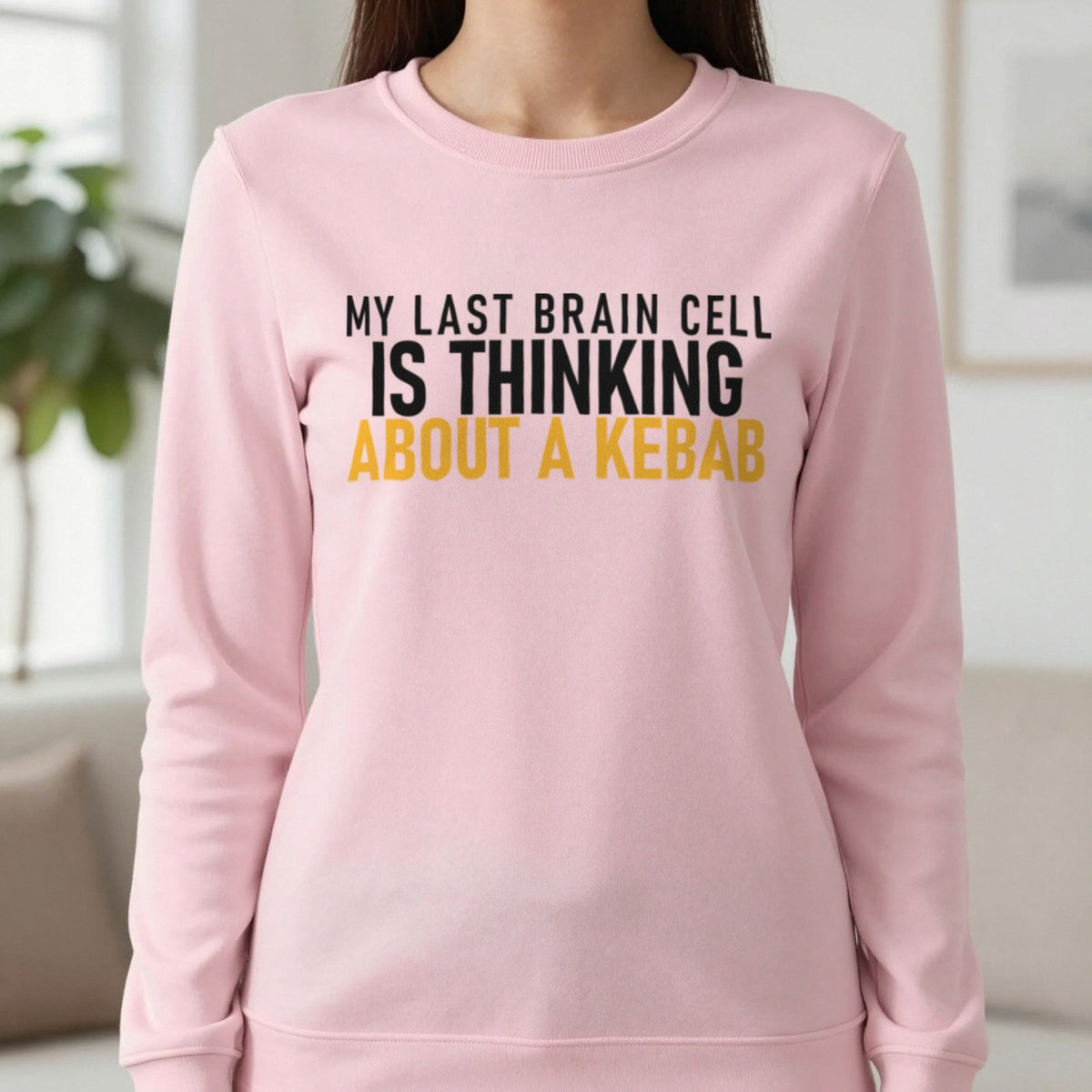 My Last Brain Cell Is Thinking About A Kebab Funny Food T-Shirt & Sweatshirt in Light Pink, worn, our photo