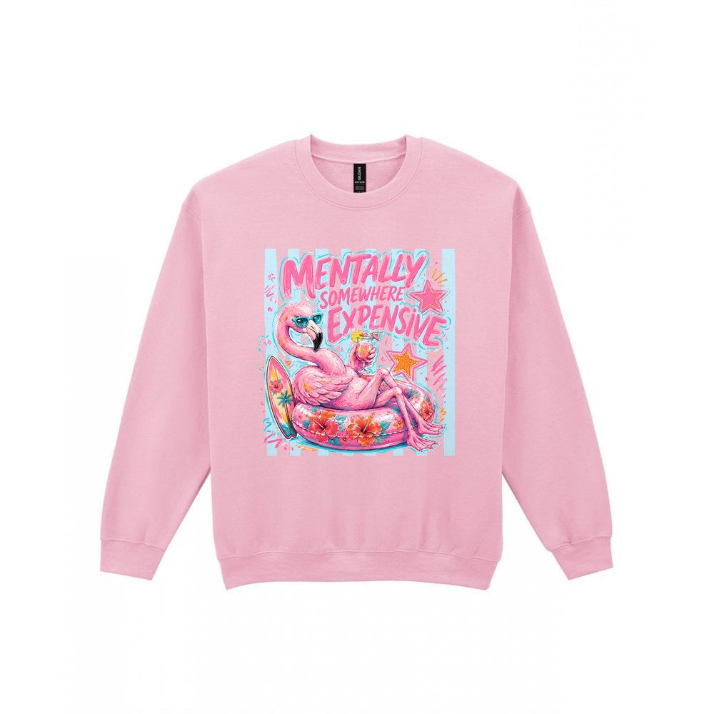 Mentally Somewhere Expensive T-Shirt & Sweatshirt Sweatshirt in Light Pink