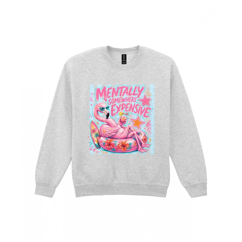Mentally Somewhere Expensive T-Shirt & Sweatshirt Sweatshirt in Sport Grey