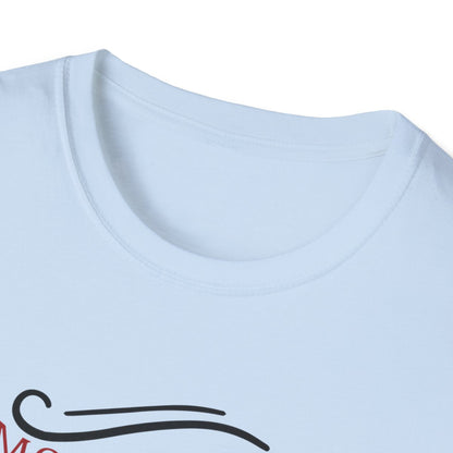 light blue t-shirt close-up showing quality print of funny sibling Christmas gift design