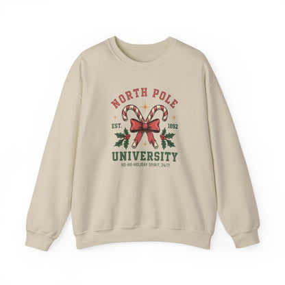 white sweatshirt with North Pole University festive print