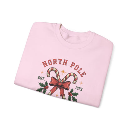 North Pole University Christmas sweatshirt detail showing bold printed design