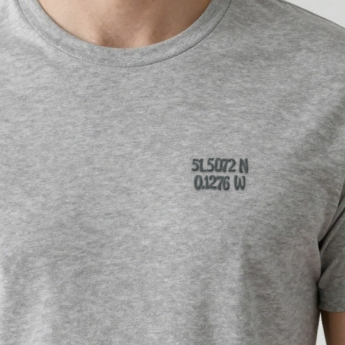 Coordinates Sweatshirt, adult t-shirt in ash, embroidered
