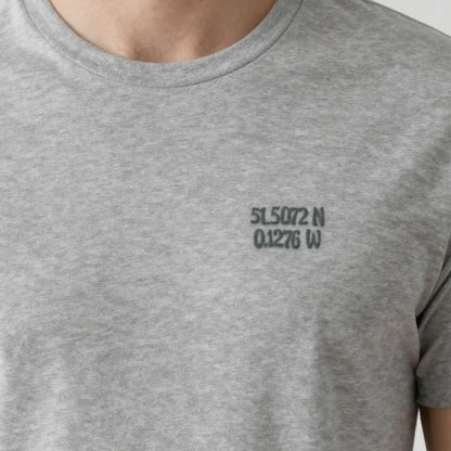Coordinates Sweatshirt, adult t-shirt in ash, embroidered