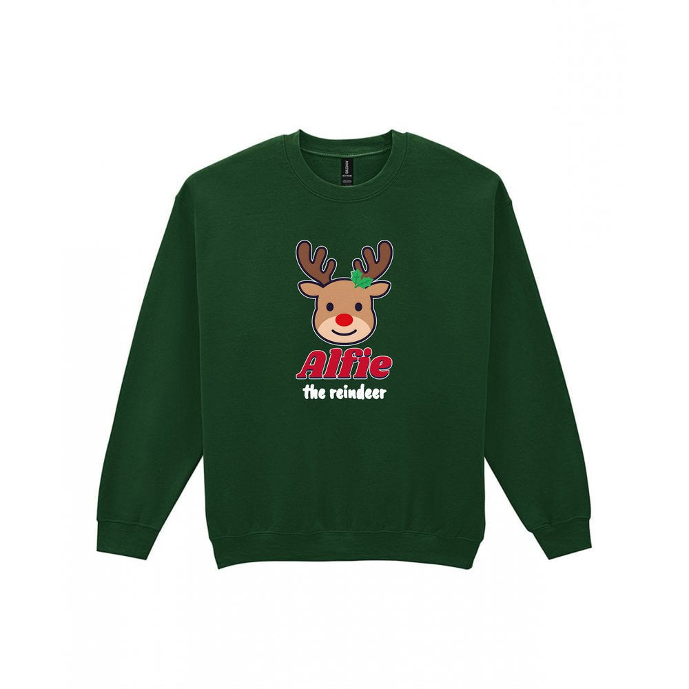 Personalised Reindeer Name Christmas Jumper & T-Shirt Sweatshirt in Forest Green