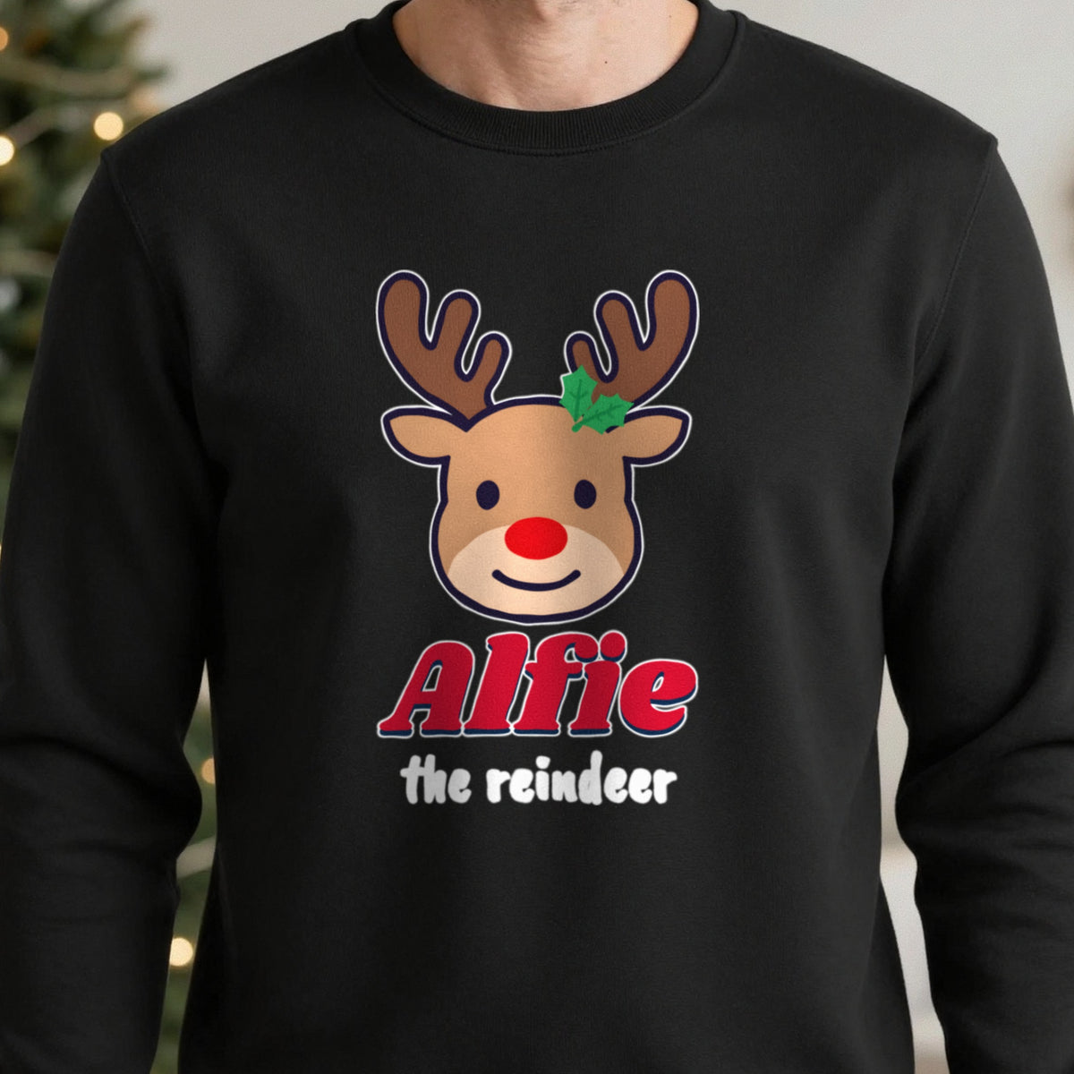 Personalised Reindeer Name Christmas Jumper & T-Shirt in another colour