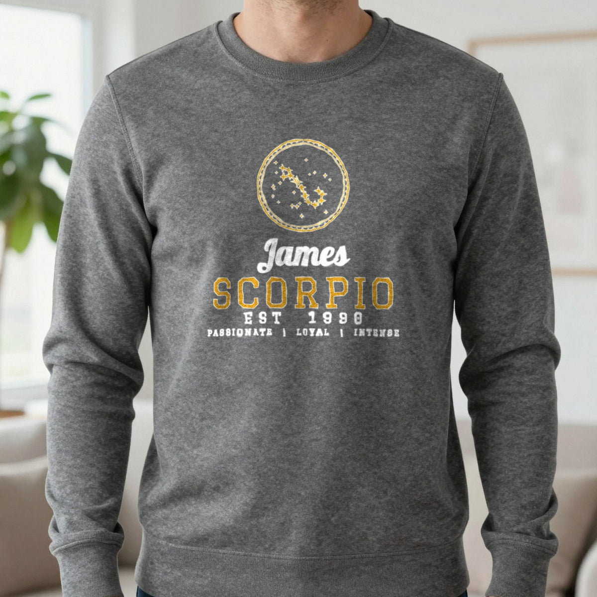 Personalised Scorpio T-Shirt & Sweatshirt Sweatshirt in Charcoal, worn, our photo