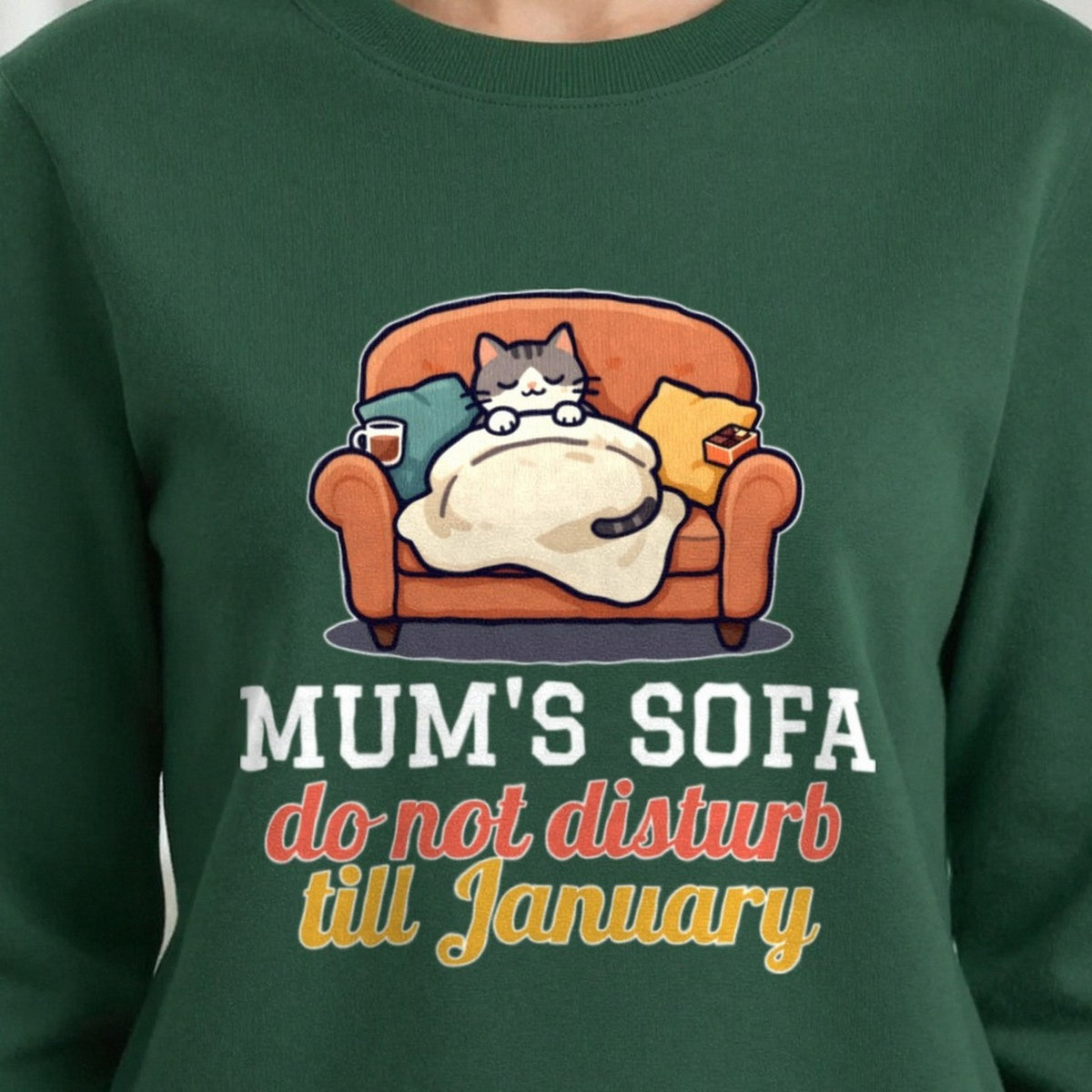 Personalised Sofa Do Not Disturb Christmas Jumper & T-Shirt print close-up, our photo