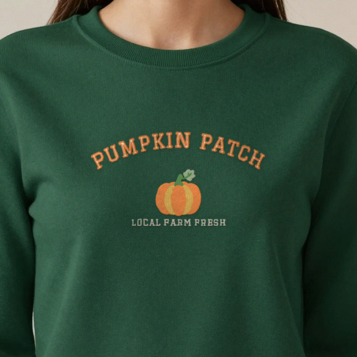 Pumpkin Patch Embroidered Sweatshirt in another colour
